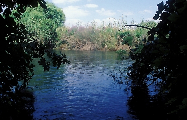 포토 JPG 주간 해외풍경 외국문화 자연 풍경 사람없음 야외 강 숲 이스라엘 국내포토 자연요소 해외 문화 생태계 서아시아 파일형식