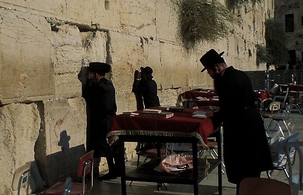 포토 JPG 주간 해외풍경 시설물 건축 외국문화 고건축 유적 중동 자연 사람 풍경 야외 문화재 성벽 유대인 이스라엘 통곡의벽 국내포토 자연요소 전통 해외 건축물 나라 문화 생태계 서아시아 파일형식