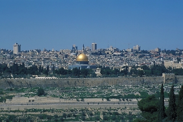 포토 JPG 주간 해외풍경 외국문화 중동 자연 풍경 사람없음 야외 도시 이스라엘 국내포토 자연요소 해외 나라 문화 생태계 서아시아 파일형식