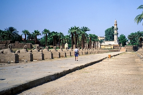 포토 JPG 주간 해외풍경 시설물 건축물 건축 외국문화 여행 고건축 유적 해외건축 아프리카 자연 유물 이집트 풍경 야외 관광지 조각상 세계문화유산 문화재 작품 석상 이집트문화 아프리카건축 스핑크스 카르낙신전 국내포토 자연요소 전통 해외 나라 문화 신전 미술 조형물 생태계 파일형식