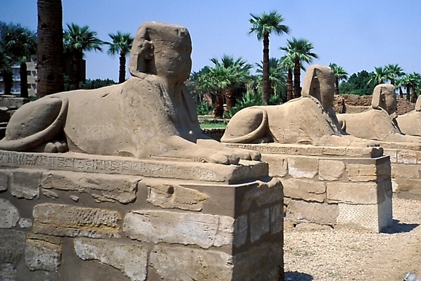 포토 JPG 주간 해외풍경 건축물 건축 조각 외국문화 여행 유적 해외건축 아프리카 유물 이집트 사람없음 야외 관광지 조각상 세계문화유산 문화재 작품 석상 이집트문화 스핑크스 카르낙신전 조각_조소 국내포토 자연요소 전통 해외 나라 문화 신전 미술 풍경 조형물 조소 파일형식