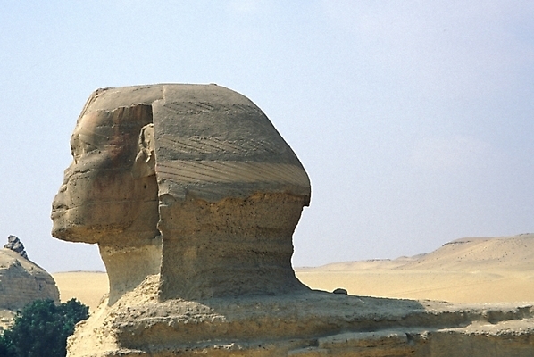 포토 JPG 주간 해외풍경 시설물 건축물 건축 외국문화 여행 고건축 유적 해외건축 아프리카 자연 유물 이집트 풍경 사람없음 야외 관광지 세계문화유산 문화재 석상 이집트문화 아프리카건축 스핑크스 국내포토 자연요소 전통 해외 나라 문화 생태계 파일형식