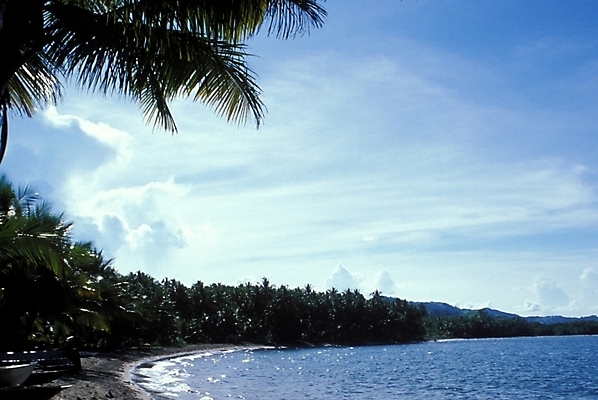 포토 JPG 주간 구름 해외풍경 해외 바다 섬 여행 자연 하늘 풍경 사람없음 야외 야자수 휴양지 파푸아뉴기니 뉴기니 국내포토 자연요소 나무 장소 오세아니아 생태계 파일형식