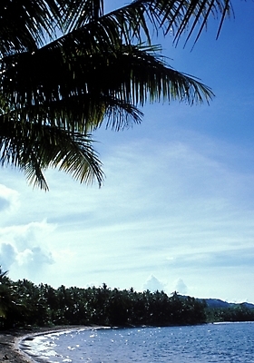 포토 JPG 주간 구름 해외풍경 해외 바다 섬 여행 자연 하늘 풍경 사람없음 야외 야자수 휴양지 파푸아뉴기니 뉴기니 국내포토 자연요소 나무 장소 오세아니아 생태계 파일형식