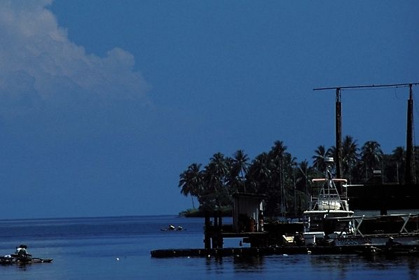 포토 JPG 주간 구름 해외풍경 해외 바다 섬 여행 자연 하늘 풍경 사람없음 야외 야자수 휴양지 파푸아뉴기니 뉴기니 국내포토 자연요소 나무 장소 오세아니아 생태계 파일형식