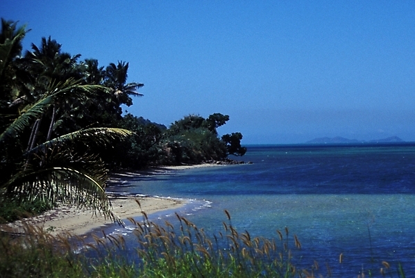 포토 JPG 주간 해외풍경 해외 바다 섬 여행 자연 하늘 풍경 사람없음 야외 야자수 휴양지 파푸아뉴기니 뉴기니 국내포토 자연요소 나무 장소 오세아니아 생태계 파일형식