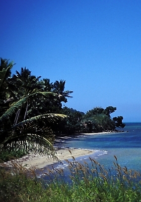 포토 JPG 주간 해외풍경 해외 바다 섬 여행 자연 하늘 풍경 사람없음 야외 야자수 휴양지 파푸아뉴기니 뉴기니 국내포토 자연요소 나무 장소 오세아니아 생태계 파일형식