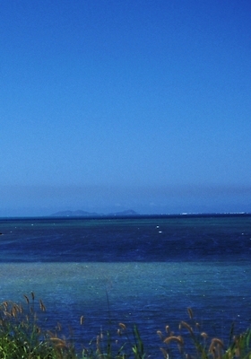 포토 JPG 주간 해외풍경 해외 바다 자연 하늘 풍경 사람없음 야외 파푸아뉴기니 뉴기니 국내포토 자연요소 오세아니아 생태계 파일형식
