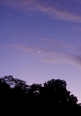 포토 JPG 주간 나무 구름 해외풍경 해외 바다 섬 자연 하늘 풍경 사람없음 야외 파푸아뉴기니 뉴기니 국내포토 자연요소 식물 오세아니아 생태계 파일형식