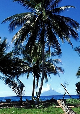 포토 JPG 주간 나무 식물 해외풍경 해외 바다 섬 여행 자연 하늘 풍경 사람없음 야외 야자수 휴양지 파푸아뉴기니 뉴기니 국내포토 자연요소 장소 오세아니아 생태계 파일형식