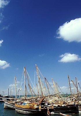 포토 JPG 주간 구름 해외풍경 산업 바다 외국문화 교통 수상교통 아프리카 자연 하늘 어업 풍경 사람없음 야외 어선 탄자니아 선박 국내포토 자연요소 해외 나라 문화 교통수단 배_교통 생태계 파일형식