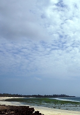 포토 JPG 주간 구름 해외풍경 바다 외국문화 아프리카 자연 하늘 풍경 해변 사람없음 야외 탄자니아 국내포토 자연요소 해외 나라 문화 생태계 파일형식