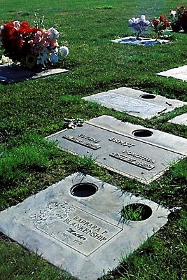 포토 JPG 주간 해외풍경 시설물 건축 자연 사람없음 야외 무덤 비석 묘석 국내포토 자연요소 해외 건축물 풍경 생태계 파일형식