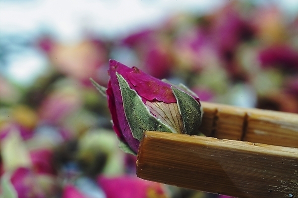 포토 JPG 식물 웰빙 꽃잎 꽃 여름꽃 자연 사람없음 장미 차 다기 장미차 국내포토 음료 다도 생태계 꽃차 파일형식 여름_계절