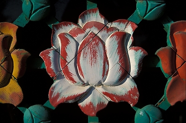 포토 JPG 한국문화 한국전통 전통 문양 종교 무늬 패턴 불교 식물문양 한국 연꽃 사람없음 전통문양 연꽃무늬 연꽃문양 국내포토 식물 동양문화 꽃 아시아 파일형식