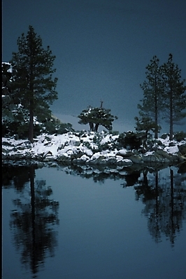 포토 JPG 주간 나무 사계절 계절 호수 설경 겨울 자연 풍경 사람없음 야외 강 눈 국내포토 자연요소 식물 날씨 생태계 파일형식