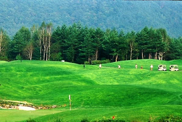 포토 JPG 주간 나무 시설물 현대건축 건축 골프 스포츠시설 골프장 자연 필드 풍경 잔디 사람없음 야외 레포츠 국내포토 자연요소 식물 건축물 스포츠 레저 구기 시설 생태계 파일형식