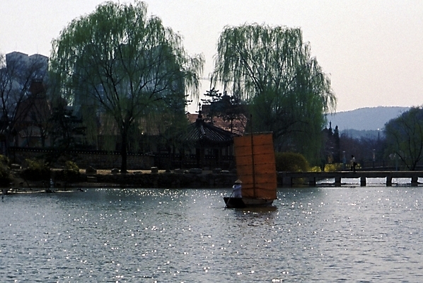 포토 JPG 주간 나무 전통 호수 교통 수상교통 자연 한국 풍경 야외 제주도 연못 돛단배 나룻배 버드나무 민속촌 제주민속촌 선박 국내포토 자연요소 식물 아시아 교통수단 배_교통 생태계 파일형식