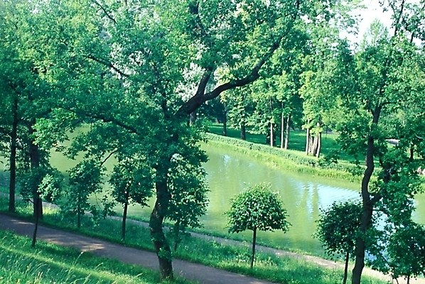 포토 JPG 주간 나무 해외풍경 해외 웰빙 유럽 길 호수 외국문화 자연 풍경 사람없음 야외 산책로 연못 숲 러시아 삼림욕 국내포토 자연요소 식물 나라 문화 생태계 파일형식