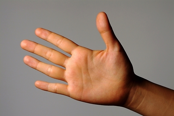 포토 스튜디오촬영 손 신체 손가락 실내 손바닥 한명 사람 손짓 신체부위 오 가위바위보 5 수신호 국내포토 1 모션 놀이 내부 숫자 파일형식