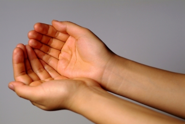 포토 스튜디오촬영 손 신체 실내 손바닥 한명 사람 손짓 신체부위 양손 수신호 국내포토 1 모션 내부 파일형식