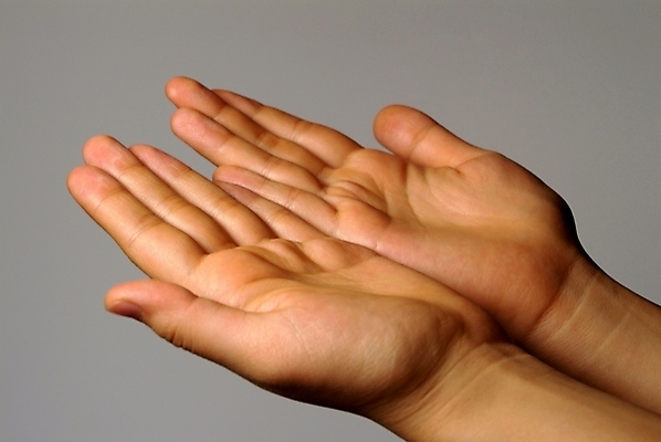 포토 스튜디오촬영 손 신체 실내 손바닥 한명 사람 손짓 신체부위 양손 수신호 국내포토 1 모션 내부 파일형식