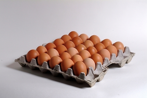 포토 JPG 스튜디오촬영 음식 식재료 실내 사람없음 계란 알 여러개 한판 국내포토 1 다수 내부 파일형식