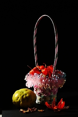 포토 JPG 식물 꽃 실내 선물 사람없음 바구니 오브젝트 꽃바구니 꽈리 국내포토 내부 파일형식