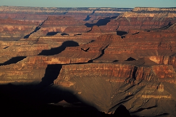 포토 JPG 주간 해외풍경 외국문화 북아메리카 자연 산 아메리카 풍경 사람없음 야외 골짜기 미국 절벽 기암괴석 기암절벽 그랜드캐니언 국내포토 자연요소 해외 문화 바위_돌 대륙 생태계 파일형식