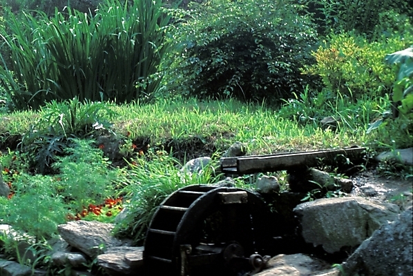 포토 JPG 주간 식물 꽃 자연 풍경 사람없음 야외 초록색 풀 조경 방아 물레방아 국내포토 자연요소 컬러 생태계 파일형식