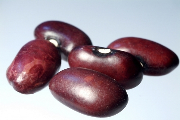 포토 JPG 식물 웰빙 열매 음식 식재료 콩 곡류 실내 사람없음 농작물 유기농 강낭콩 국내포토 농업 내부 파일형식