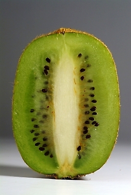 포토 JPG 식물 웰빙 과일 실내 키위 사람없음 유기농 국내포토 내부 파일형식