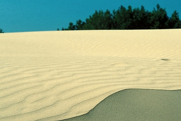 포토 JPG 주간 해외풍경 모래 자연 풍경 사람없음 야외 사막 모래언덕 국내포토 자연요소 해외 언덕 생태계 파일형식