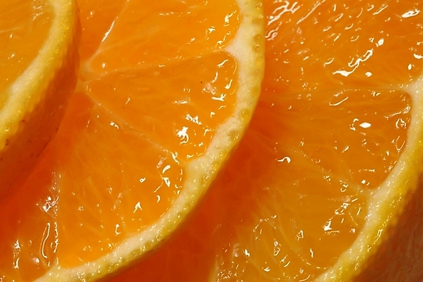 포토 JPG 주간 식물 웰빙 오렌지 과일 귤 사람없음 야외 유기농 제철과일 국내포토 자연요소 제철 파일형식