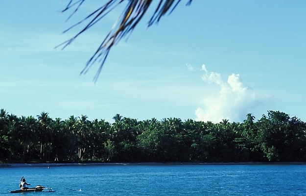 포토 JPG 주간 나무 구름 해외풍경 바다 외국문화 백그라운드 자연 하늘 사람 풍경 해변 야외 오세아니아 숲 파푸아뉴기니 선박 국내포토 자연요소 식물 해외 나라 문화 수상교통 생태계 파일형식