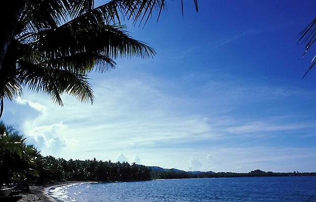 포토 JPG 주간 나무 식물 구름 해외풍경 바다 외국문화 백그라운드 자연 하늘 풍경 해변 사람없음 야외 야자수 오세아니아 휴양지 파푸아뉴기니 국내포토 자연요소 해외 나라 문화 장소 생태계 파일형식