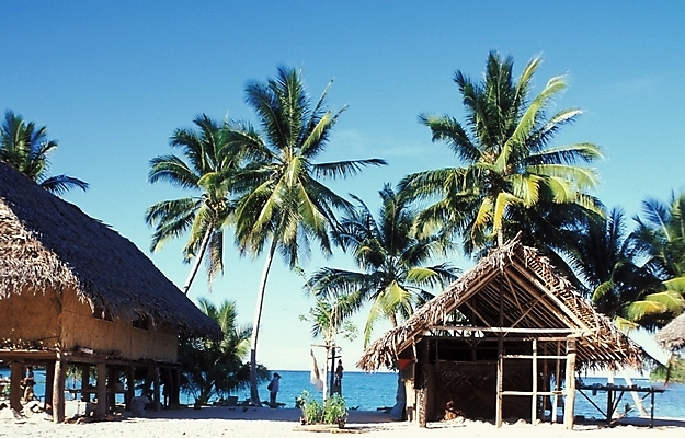 포토 JPG 주간 나무 식물 해외풍경 외국문화 자연 풍경 사람없음 야외 야자수 오세아니아 오두막 휴양지 파푸아뉴기니 국내포토 자연요소 해외 나라 문화 장소 생태계 파일형식