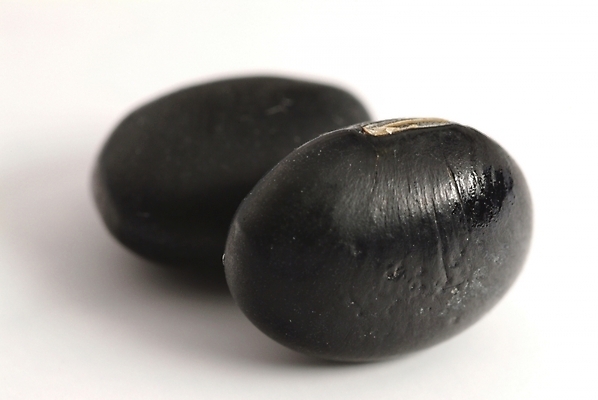 포토 JPG 식물 웰빙 열매 음식 식재료 콩 곡류 실내 사람없음 농작물 유기농 검은콩 검정콩 국내포토 농업 내부 파일형식