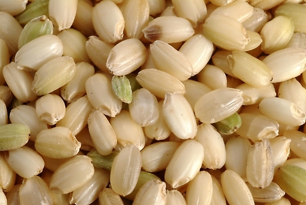 포토 JPG 식물 웰빙 열매 음식 식재료 곡류 실내 사람없음 농작물 쌀 유기농 현미 국내포토 농업 내부 파일형식