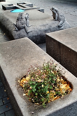 포토 JPG 주간 식물 건축 꽃 조각 개구리 사람없음 야외 조형물 돌조각 조형 석수 조각_조소 국내포토 자연요소 양서류 미술 돌_바위 조소 파일형식