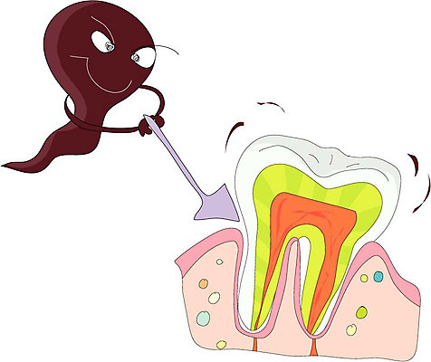 클립아트 일러스트 해부 의학 치료 바이러스 치아 장기 근골격기관 단면도 박테리아 잇몸 국내일러스트 신체 단면 소화기관 장기_의학