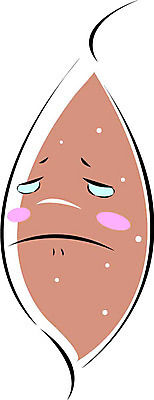 클립아트 식물 캐릭터 열매 음식 채소 일러스트 디저트 울음 눈물 고구마 음식캐릭터 찐고구마 일러캐릭터 감정 뿌리채소 표정 찜