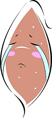 클립아트 식물 캐릭터 열매 음식 채소 일러스트 디저트 울음 눈물 고구마 음식캐릭터 찐고구마 일러캐릭터 감정 뿌리채소 표정 찜