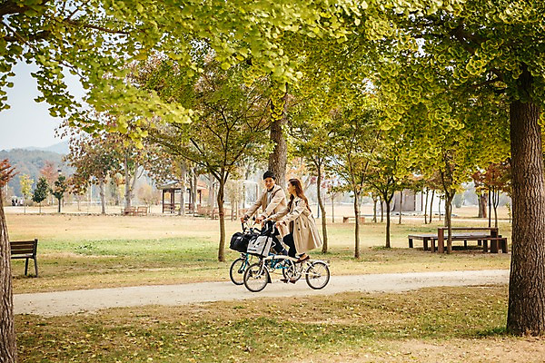 포토 JPG 주간 전신 커플 여자 남자 여행 데이트 단풍나무 사람 잔디 20대 성인 야외 두명 옆모습 자전거 다정 산책로 한국인 가을 트렌치코트 승차 가로수 은행나무 국내여행 성인만 강천섬 국내포토 여주시 자연요소 나무 식물 계절 길 뷰포인트 섬 컨셉 단풍 관계 모션 동양인 청년 바이크 코트 경기도 파일형식 여주_지역