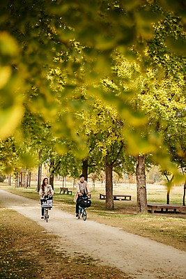 포토 JPG 주간 전신 커플 여자 남자 여행 데이트 미소 사람 잔디 20대 성인 야외 두명 앞모습 자전거 다정 산책로 한국인 가을 트렌치코트 승차 가로수 은행나무 국내여행 성인만 강천섬 국내포토 여주시 자연요소 나무 식물 계절 길 뷰포인트 섬 컨셉 관계 모션 표정 동양인 청년 바이크 코트 경기도 파일형식 여주_지역