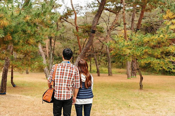 포토 JPG 주간 나무 커플 여자 남자 여행 가방 데이트 서기 사람 잔디 상반신 20대 성인 야외 두명 뒷모습 걷기 한국인 국내여행 성인만 세종대왕릉 국내포토 여주시 자연요소 식물 잡화 뷰포인트 관계 모션 동양인 청년 경기도 왕릉 파일형식 여주_지역