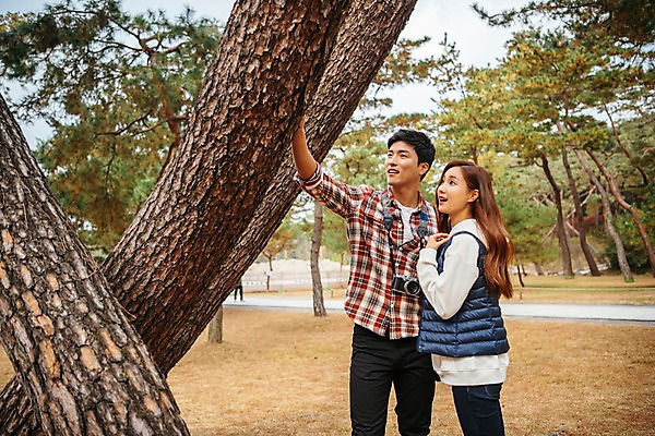 포토 JPG 주간 나무 커플 응시 여자 남자 여행 데이트 서기 미소 사람 잔디 상반신 20대 성인 야외 두명 앞모습 옆모습 카메라 놀람 만지기 한국인 고목 국내여행 성인만 세종대왕릉 국내포토 여주시 자연요소 식물 시선 감정 뷰포인트 관계 모션 표정 동양인 청년 전자제품 경기도 왕릉 파일형식 여주_지역