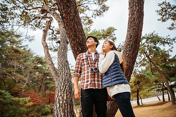 포토 JPG 주간 나무 커플 응시 공원 여자 남자 로우앵글 여행 데이트 서기 미소 사람 상반신 20대 성인 야외 두명 앞모습 옆모습 카메라 한국인 국내여행 성인만 세종대왕릉 국내포토 여주시 자연요소 식물 시선 공공시설 뷰포인트 관계 모션 표정 동양인 청년 전자제품 경기도 왕릉 파일형식 여주_지역