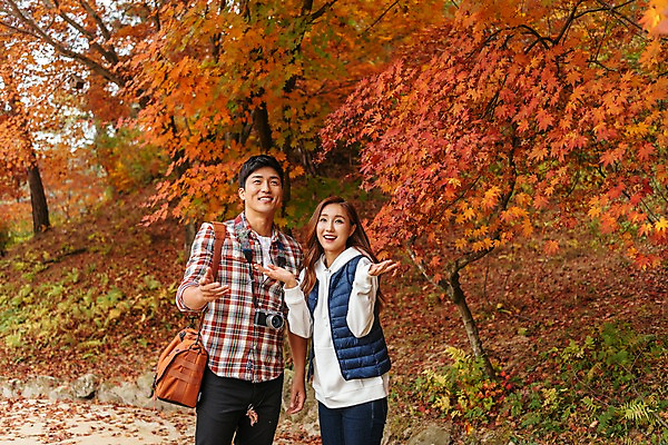 포토 JPG 주간 커플 여자 남자 여행 단풍 낙엽 가방 데이트 단풍나무 서기 미소 사람 상반신 20대 성인 야외 두명 앞모습 손들기 카메라 한국인 즐거움 국내여행 성인만 세종대왕릉 국내포토 여주시 자연요소 나무 잡화 감정 뷰포인트 잎 관계 모션 표정 동양인 청년 전자제품 경기도 왕릉 파일형식 여주_지역