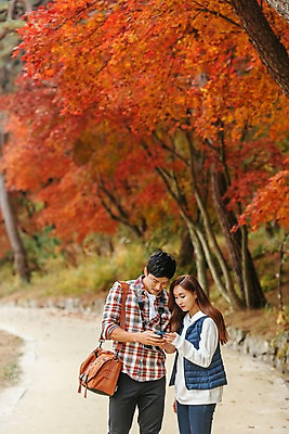 포토 JPG 주간 커플 응시 여자 남자 여행 가방 데이트 단풍나무 서기 사람 상반신 20대 성인 야외 두명 앞모습 스마트폰 카메라 산책로 한국인 잡기 국내여행 성인만 세종대왕릉 국내포토 여주시 자연요소 나무 시선 잡화 길 뷰포인트 단풍 관계 모션 동양인 청년 전자제품 핸드폰 스마트기기 경기도 왕릉 파일형식 여주_지역